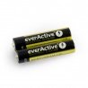 EverActive Industrial Alkaline AAA (R3 LR03) Batterie - 2 Stk. - zdjęcie 1