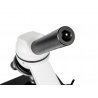 Opticon Genius 40x-1250x Mikroskop - weiß - zdjęcie 10