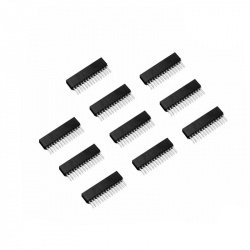 2 × 15-polige Buchsenleiste für 13,2-Modul – Raster 2,54 mm –