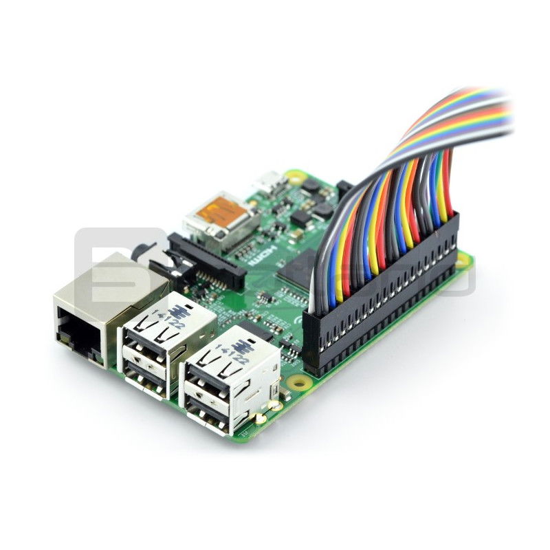 PiTail 40 Pin Kabel mit 35 cm Steckern für Raspberry Pi B+