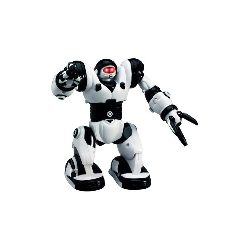 Robone - ein laufender Roboter