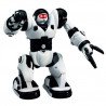 Robone - ein laufender Roboter - zdjęcie 1