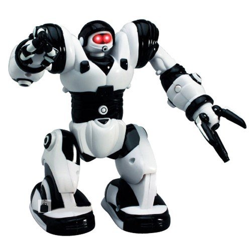 Robone - ein laufender Roboter
