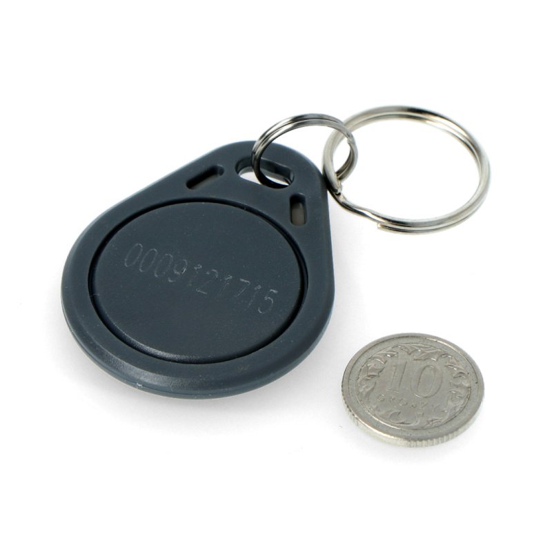 RFID Schlüsselanhänger S103N-GY - 125kHz - kompatibel mit