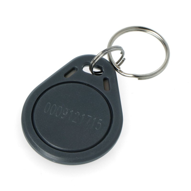 RFID Schlüsselanhänger S103N-GY - 125kHz - kompatibel mit