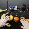 Adafruit Capacitive Touch Hat + Raspberry Pi Touch-Modul – MPR121 - zdjęcie 5