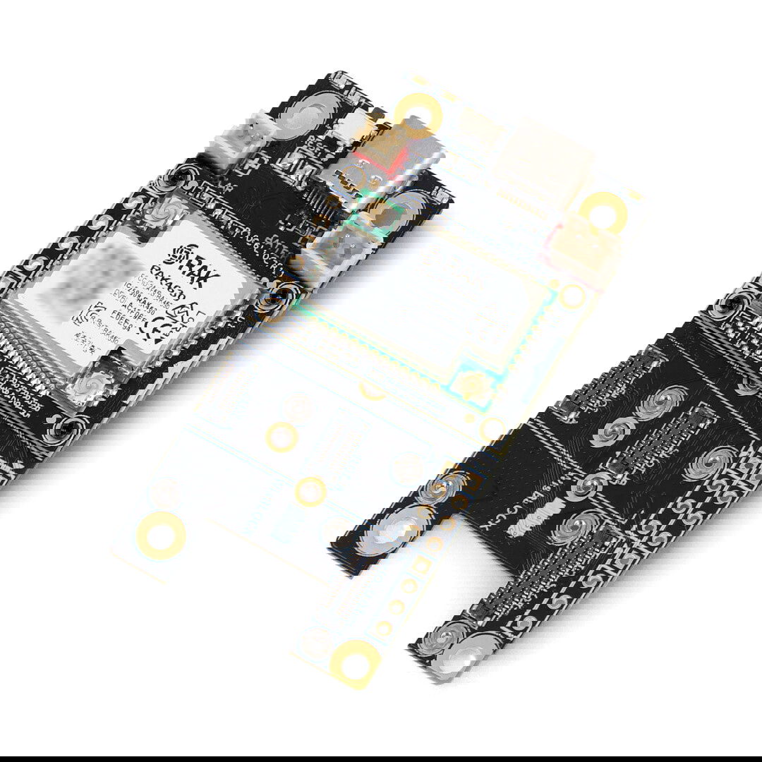 WisBlock Meshtastic Starter Kit – Basisplatine + Core - 868MHz – Rak Wireless-Entwicklungsmodul
