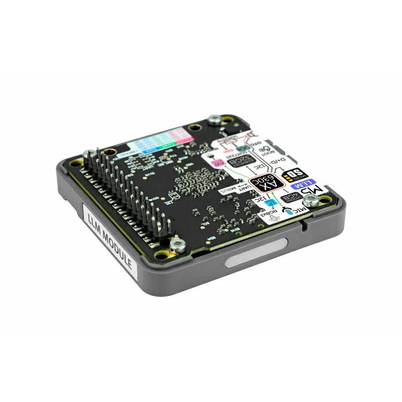 M5Stack LLM (large language model) Module (AX630C)