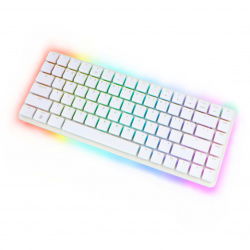 Kit mit Raspberry Pi 500+ - EU 16GB RAM 2.4GHz + offizielles