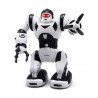 Calvin Robot Human Dance - ein tanzender Roboter - zdjęcie 1