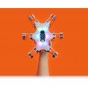 Stemi Hexapod - ein sechsbeiniger Laufroboter - ein Set zum Selbstbau - zdjęcie 3