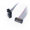 IDC 10-poliges Buchse-Stecker-Kabel zum Drucken - 30 cm - zdjęcie 1