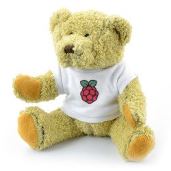 Babbage-Bär mit Raspberry Pi-Logo