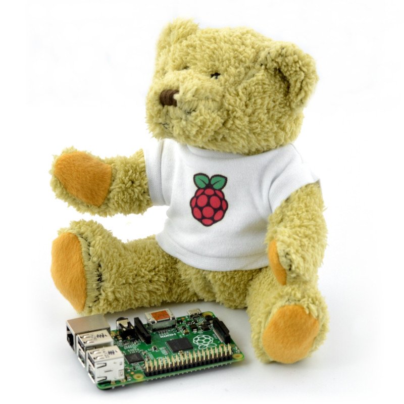 Babbage-Bär mit Raspberry Pi-Logo