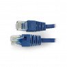 Ethernet-Netzwerkkabel Patchkabel UTP 5e 0,25 m - blau - zdjęcie 1
