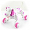 Roboterhund - ferngesteuert - 25 cm - zdjęcie 1