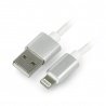 USB A - Lightning-Silikonkabel für iPhone / iPad / iPod - 1,5 m weiß - zdjęcie 1