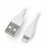 USB A - Lightning-Kabel für iPhone / iPad / iPod - Blow - 2m - zdjęcie 1