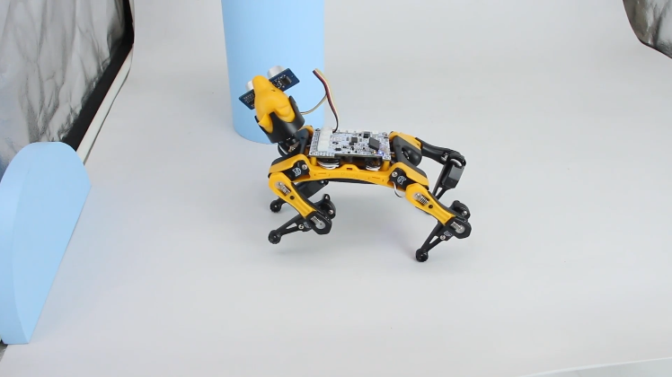 Robo-Hund mit einem Sensor