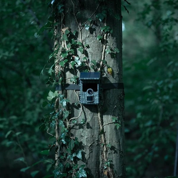 Die Ez-Solar-Kamerafalle hängt nachts an einem Baum im Wald.