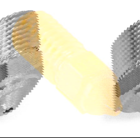 Dysza 0,8 mm do drukarek 3D Elegoo Neptune 4 / 4 Pro - filament 1,75 mm - mosiądz