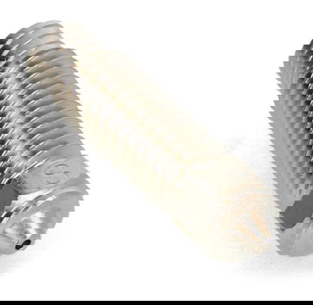 Dysza 0,8 mm Micro Swiss do drukarek 3D Elegoo Neptune 4 Plus / 4 Max - filament 1,75 mm - mosiądz