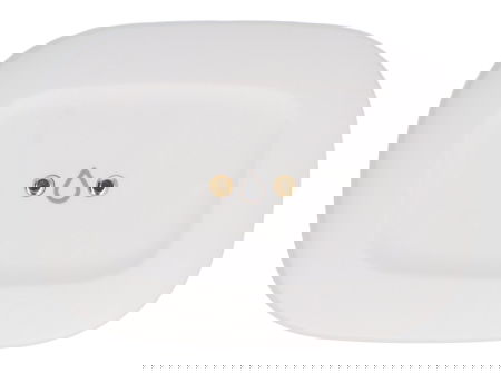 Aeotec Wasserlecksensor – Überschwemmungs- und Temperatursensor – ZigBee