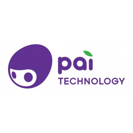Pai Technology