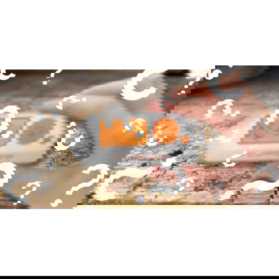 Zdjęcie wyróżniające dla tekstu - Worauf warten wir beim Flipper Zero 2?